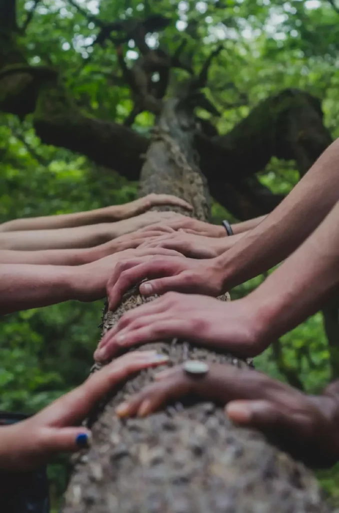 Mains sur un arbre symbolisant l'unité et la coopération